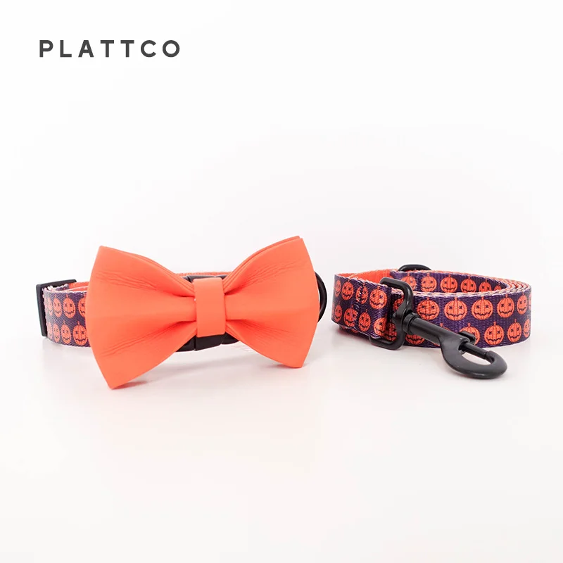 Bow Tie Collar Leash