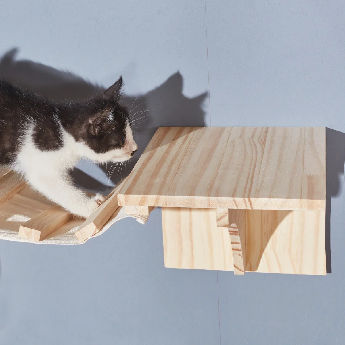 Percha de madera para gatos, puente colgante montado en la pared, escalera, marco de escalada para gatos con hamaca y plataforma de madera maciza, área de juegos para gatos - imagen 3