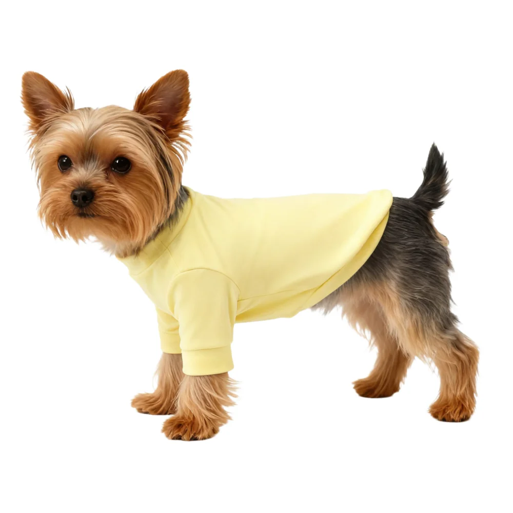 Suéter de cuello alto para gatos Sphynx, camisa sin pelo, suéteres para gatos con mangas, jersey de gatito cálido y suave, pijamas de invierno de forro polar - imagen 5