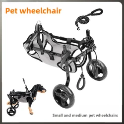 Silla de ruedas para perros y gatos discapacitados – Rehabilitación