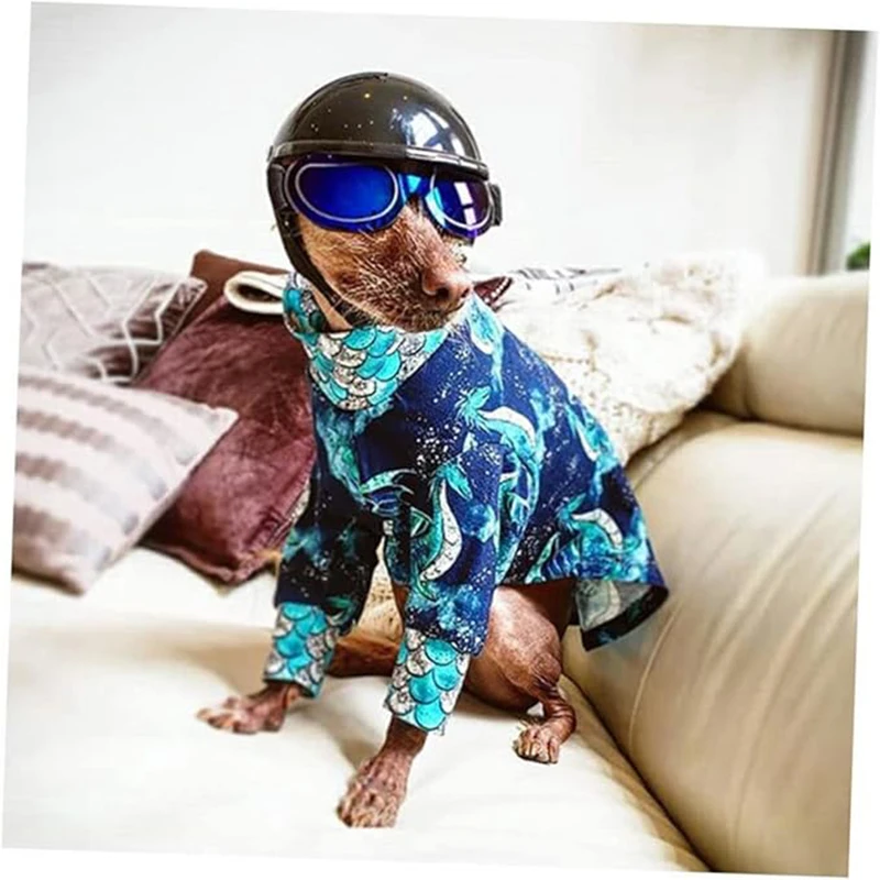 Gafas para mascotas para perros pequeños, gafas de sol coloridas creativas para fiestas, gafas decorativas para mascotas, accesorio para perros - imagen 3