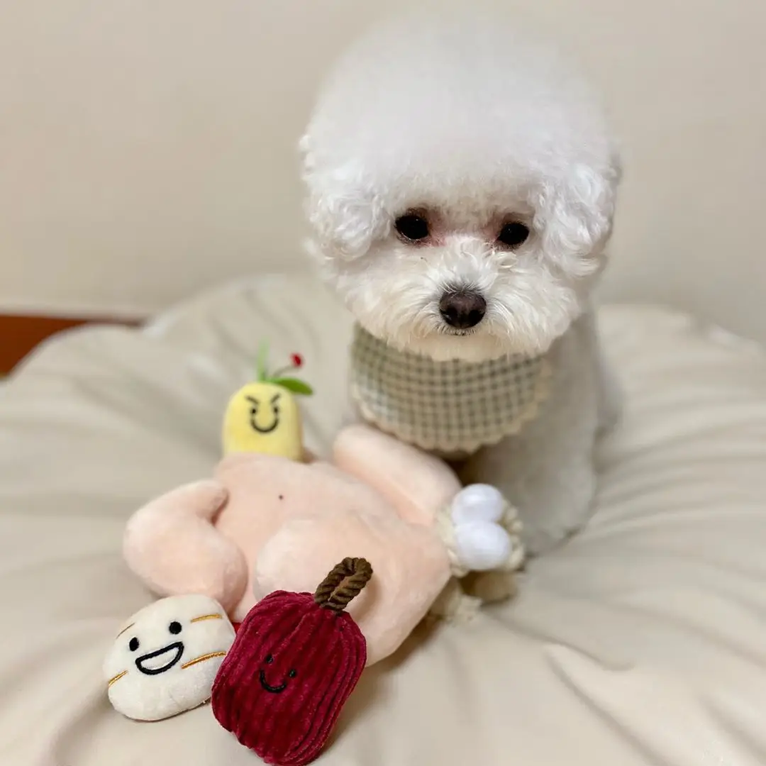 Juguete interactivo de rompecabezas para perros, sopa de pollo y Ginseng, juguete para olfatear comida oculta, quemador de energía masticable, juguete Vocal para cachorros