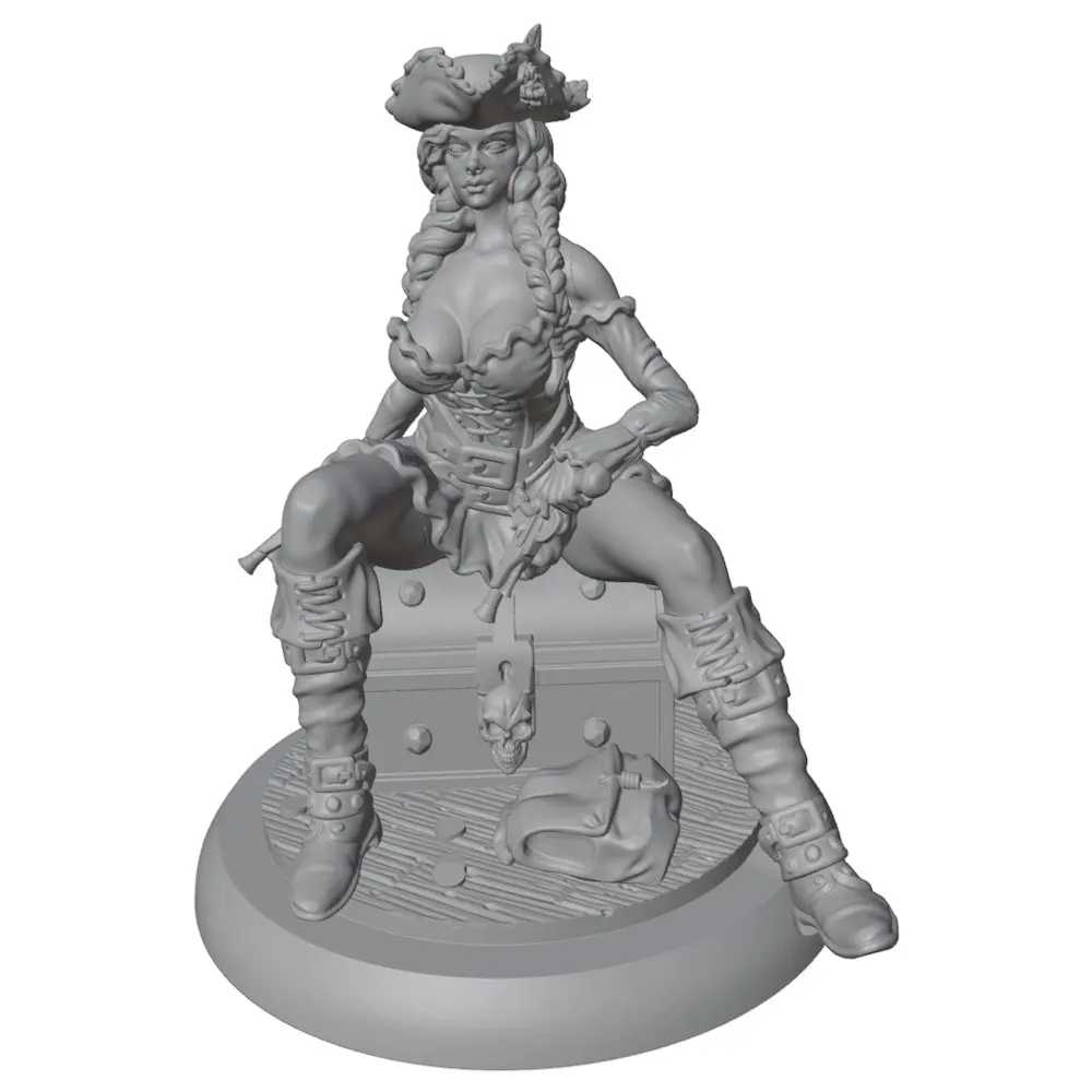 Figura pirata cofre tesoro – coleccionable para fans de gatos y perros