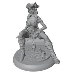 Figura pirata cofre tesoro – coleccionable para fans de gatos y perros