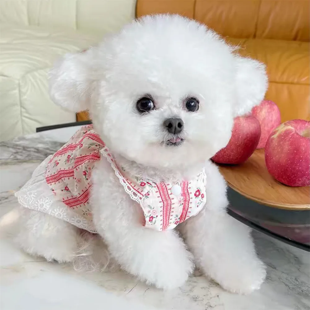 Ropa para mascotas, falda de encaje Floral a rayas, oso de peluche, gato, ropa fina para perros pequeños, vestido para perros pequeños, Primavera/Verano, nuevo - imagen 4