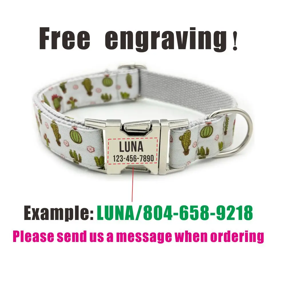 Collar de perro personalizado con grabado gratuito, correa para mascotas a juego, hebilla de Metal de contactos personalizados, collares para mascotas de Cactus de dibujos animados - imagen 4