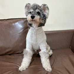 Suéter de invierno para gatos y perros pequeños - Cuello alto térmico