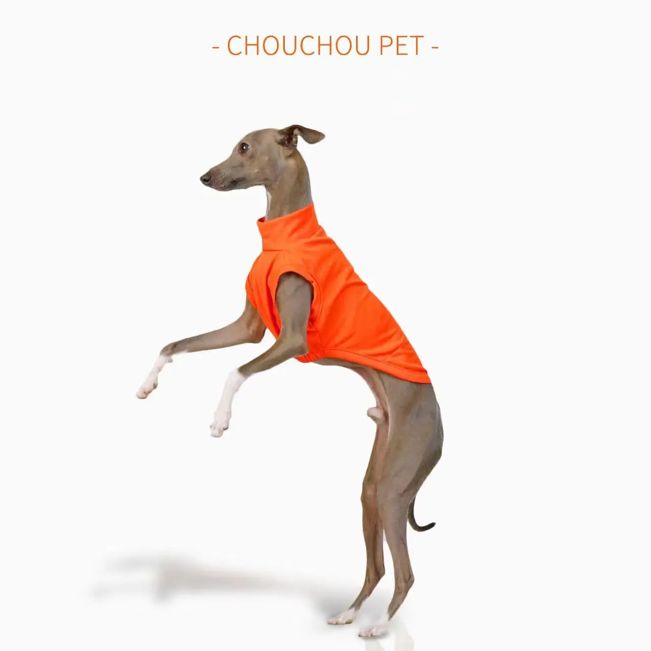 Chaleco transpirable de verano para perros, protección solar para exteriores, ropa para mascotas, ropa fresca y cómoda para perros pequeños y medianos Iggy Whippet - imagen 5