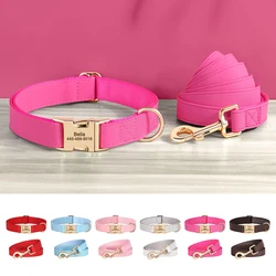 Conjunto collar y correa para perro personalizado con placa grabada
