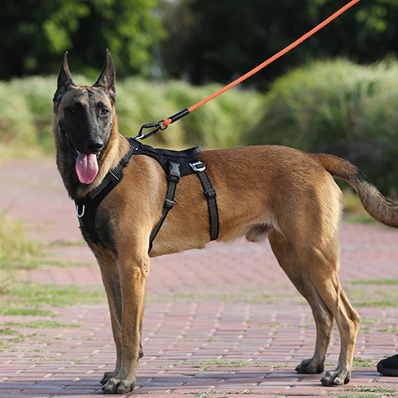Winhyepet-arnés para perros al aire libre, chaleco táctico reflectante con etiqueta personalizada, arnés antiescape de doble H, servicio de viaje para perros - imagen 3