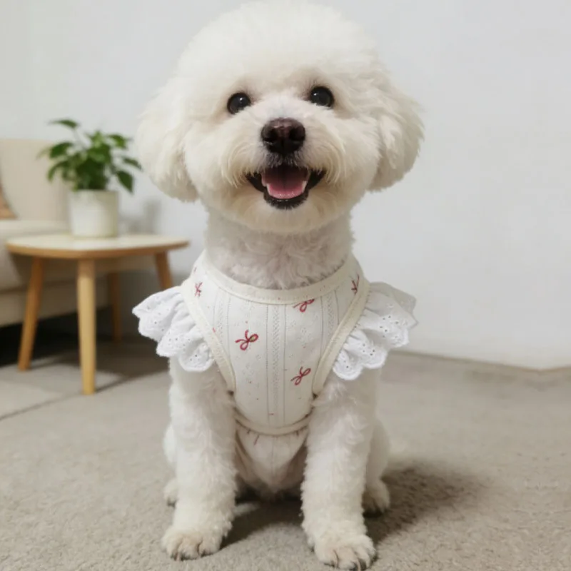 Mono verano para perras pequeñas – Pijama suave para Chihuahua, Yorkshire y Bichón - imagen 3
