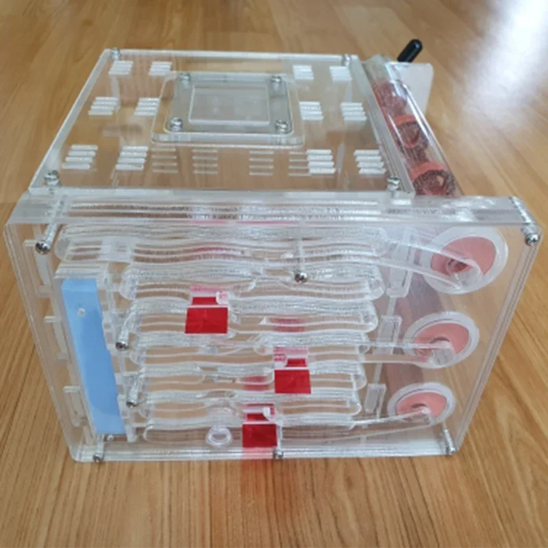 DIY acrílico granja de hormigas ecológico 3 tubos de ensayo de bambú nido con área de alimentación casa de hormigas pueblo mascota antill taller nido de hormigas Castillo - imagen 5