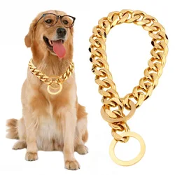 Collar dorado de lujo para Bulldog y Pitbull