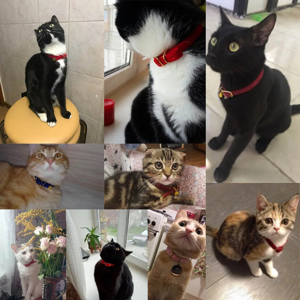 Collar de gato con campana, collares de seguridad para gatos, Collar ajustable para cachorros y perros pequeños, Collar sólido para mascotas, productos, Collar para gatos - imagen 4