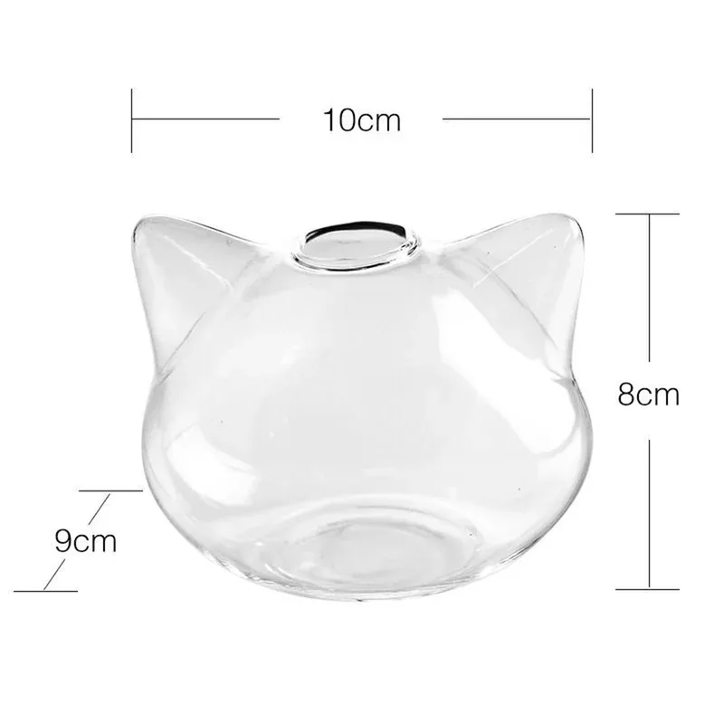 Jarrón de cristal hidropónico de gato de dibujos animados, maceta moderna y delicada para el hogar, macetero de plantas de aire suculentas de mesa, 1 Uds. - imagen 4