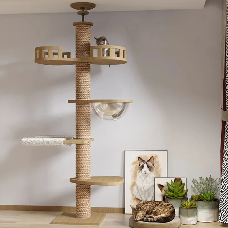 Marco de escalada ajustable para gatos, altura del suelo al techo, para casa de árbol para gatos de varios niveles, trampolín, actividad de descanso, suministros para mascotas