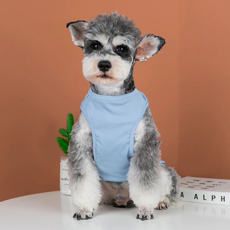 Camiseta transpirable para perros Primavera Verano Schnauzer Teddy Dog Colling chaleco cachorro protector solar camisetas verano pequeños medios ropa para perros