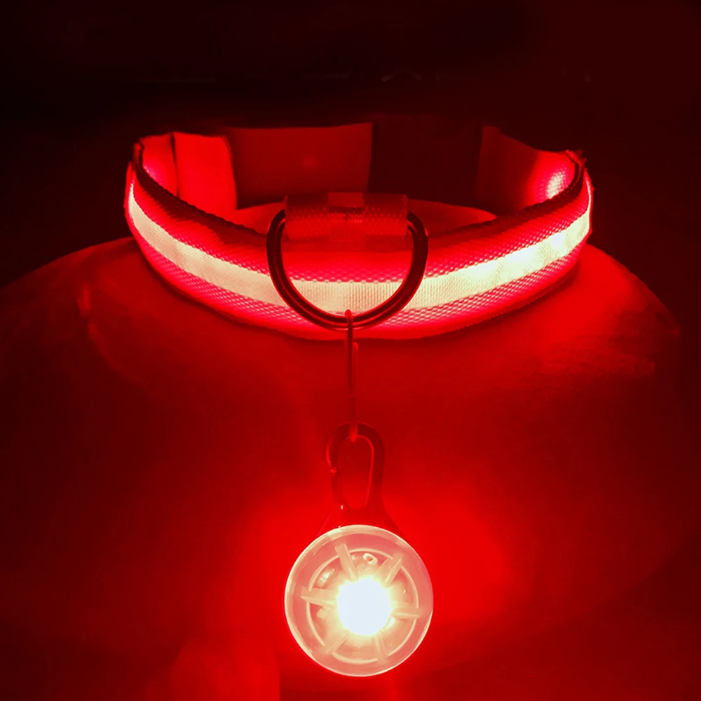 Collar de perro brillante con carga Usb, con colgante, luz Led desmontable de lujo, brillante para perros pequeños, Collar de seguridad nocturno para gatos, venta al por mayor - imagen 5