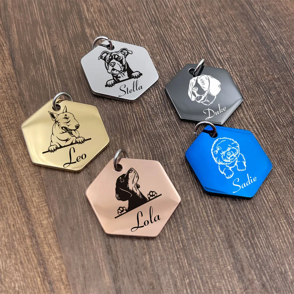 Etiqueta de identificación hexagonal personalizada para perro, accesorio antipérdida de acero inoxidable para mascotas, Collar para cachorros - imagen 4