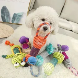 Juguete interactivo de cuerda felpa para perros – Dibujo animado