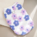 flower purple
