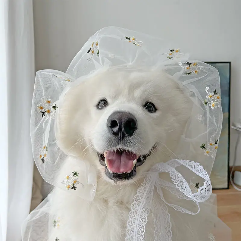 Ropa para perros grandes, traje de boda fino, vestido de novia, sombrero de pelo dorado Satsuma, vestido de perro grande, ropa de primavera y verano para mascotas - imagen 4