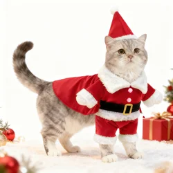 Disfraz navideño para gatos Sphynx y perros – Papá Noel para mascotas