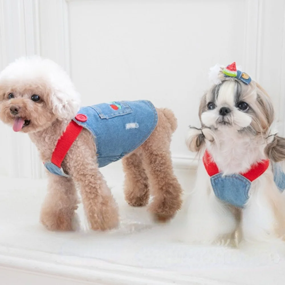 Falda vaquera bordada para mascotas, ropa de felpa para gatos y perros, abrigo de oso de peluche, sombrero, ropa de Navidad para perros, vestido para perros, Otoño e Invierno - imagen 4