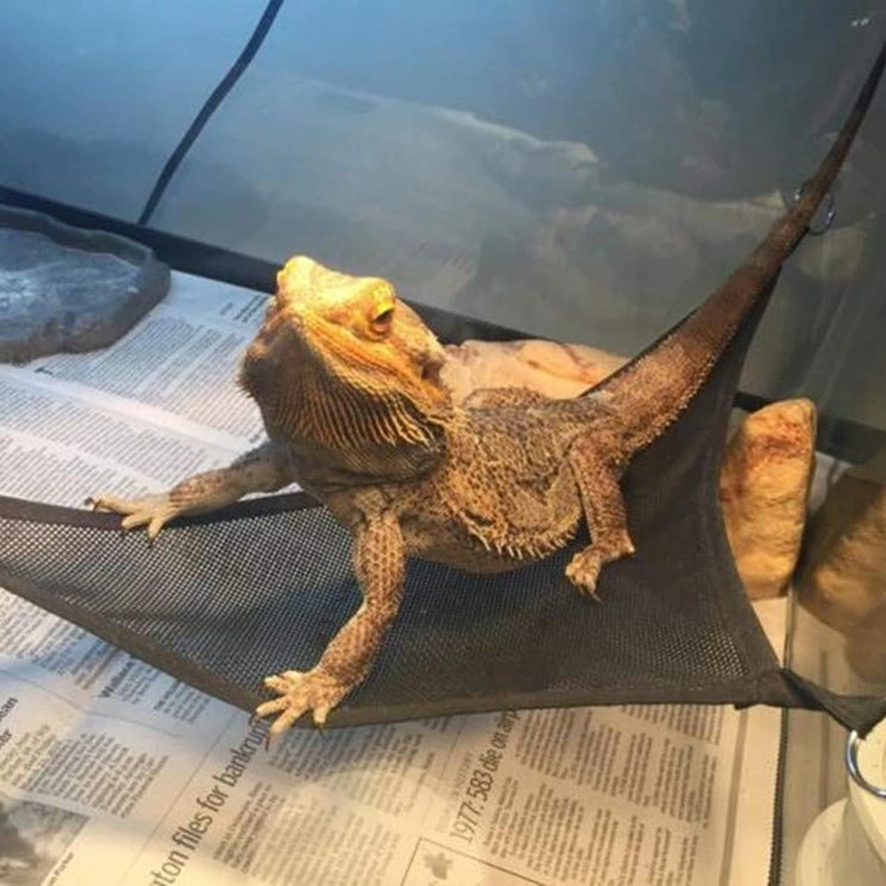 Hamaca para reptiles, tumbona, escalera, juego de accesorios para dragones barbudos grandes y pequeños, Anole Geckos, lagartos o serpientes, accesorios para reptiles - imagen 4
