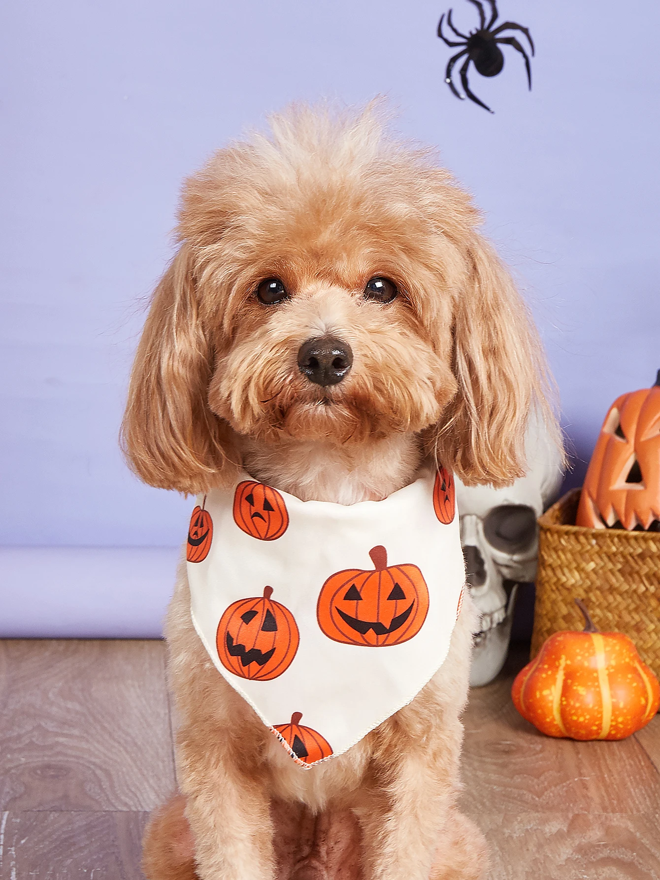 Bandana de Halloween para perro, Baberos de calabaza y telaraña, bufanda triangular para mascotas, varios tamaños, ajuste suave y ajustable - imagen 2