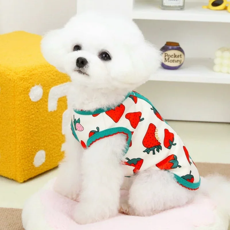 Chaqueta cálida de invierno para perros, abrigo, ropa suave y bonita para perros, chaleco con estampado de frutas para cachorros, chaqueta cárdigan a la moda para gatos, abrigo con capucha para mascotas, disfraz para perros - imagen 4