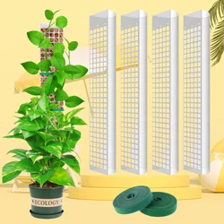 Poste de musgo para trepar – Accesorio para gato Natural