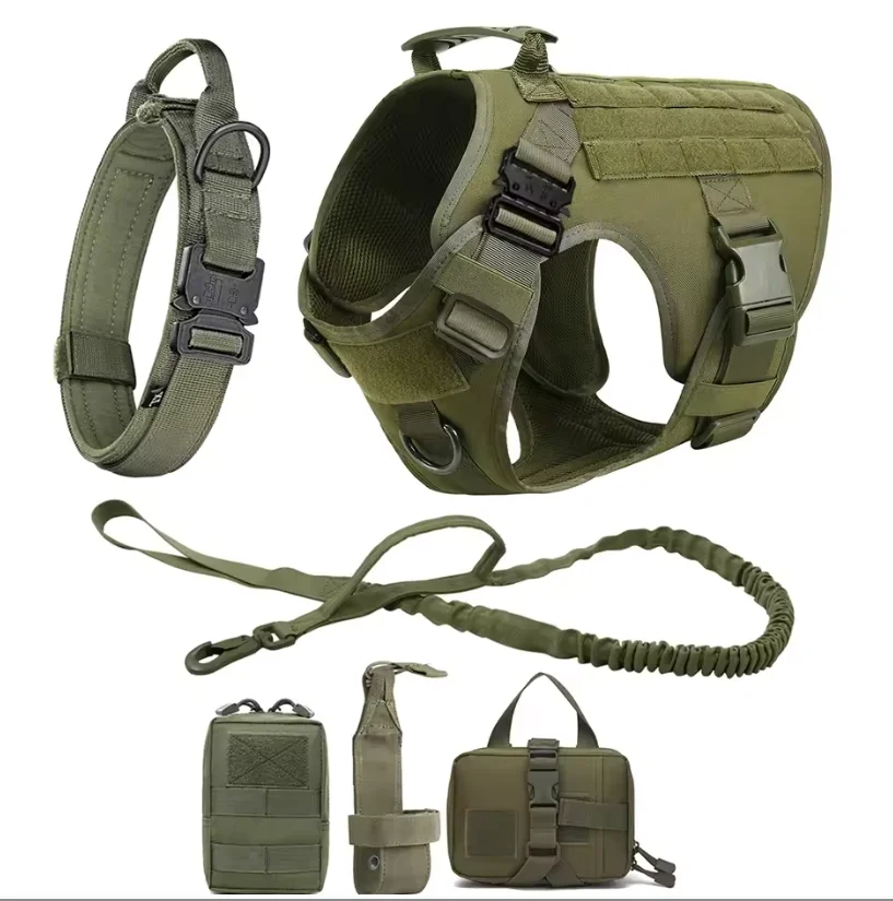 Kit entrenamiento perros: correa, collar, bowls y bolsas reflectantes