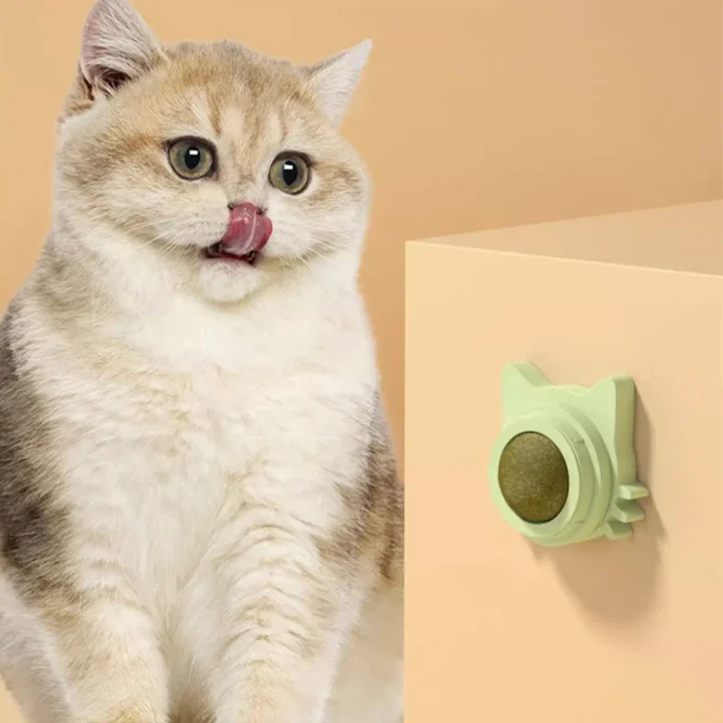 Bola de hierba gatera para Gatos, juguete para Mascotas, piruleta pegada, menta en la pared, productos para aperitivos, accesorios para Gatos - imagen 3