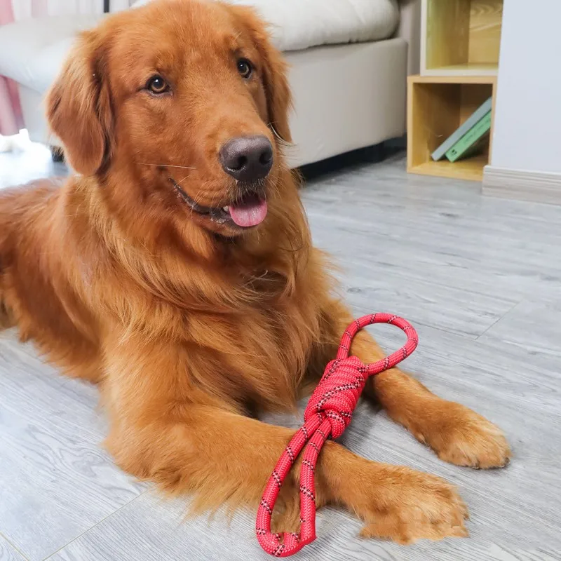 Juguetes para perros, cuerdas de algodón, juguete para perros, cuerda con nudo reflectante, juguetes para dientes de perro, cuerda Molar a prueba de masticar, juguete de entrenamiento para perros, accesorios para cachorros - imagen 2