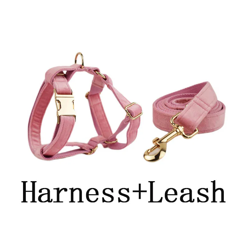 harness leash