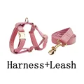 harness leash