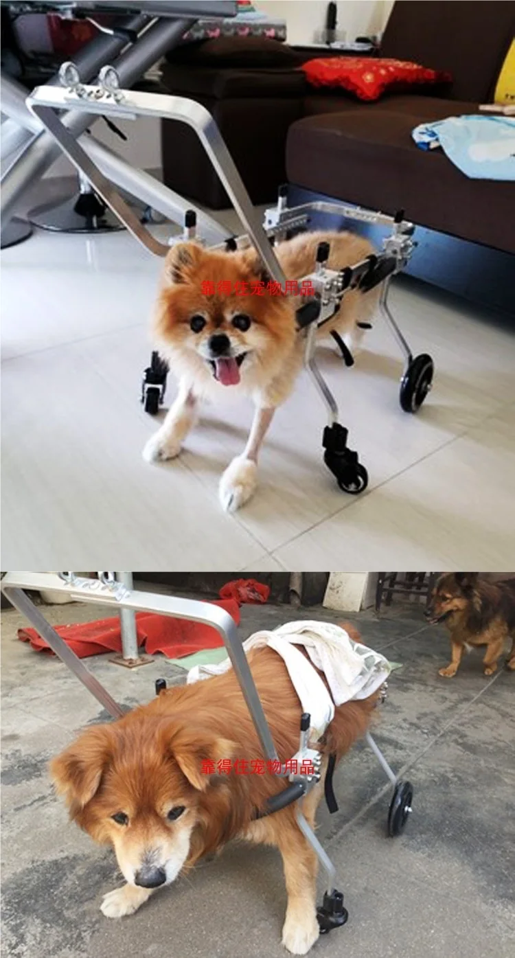 Silla de ruedas con soporte de 4 ruedas para perros