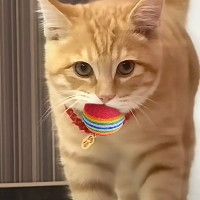 Pelotas resistentes a mordidas para gatitos