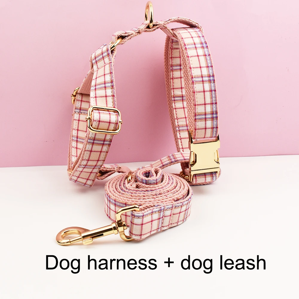 Harness leash