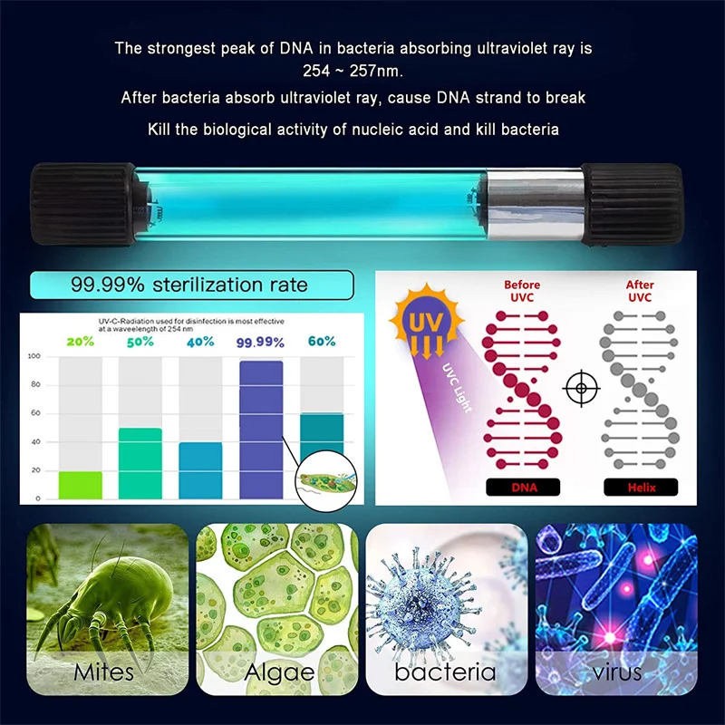 Luz limpia para acuario con temporizador, Mini desinfectante de esterilización UV transparente, lámpara de tratamiento de agua, sumidero, filtro de estanque para pecera - imagen 3