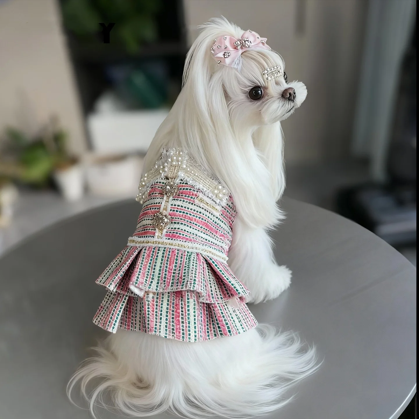 Vestidos a rayas de Tweed para perros pequeños, vestido de princesa para perros, vestido de boda para mascotas, ropa Formal para fiesta de cumpleaños para cachorros, traje de invierno para perros