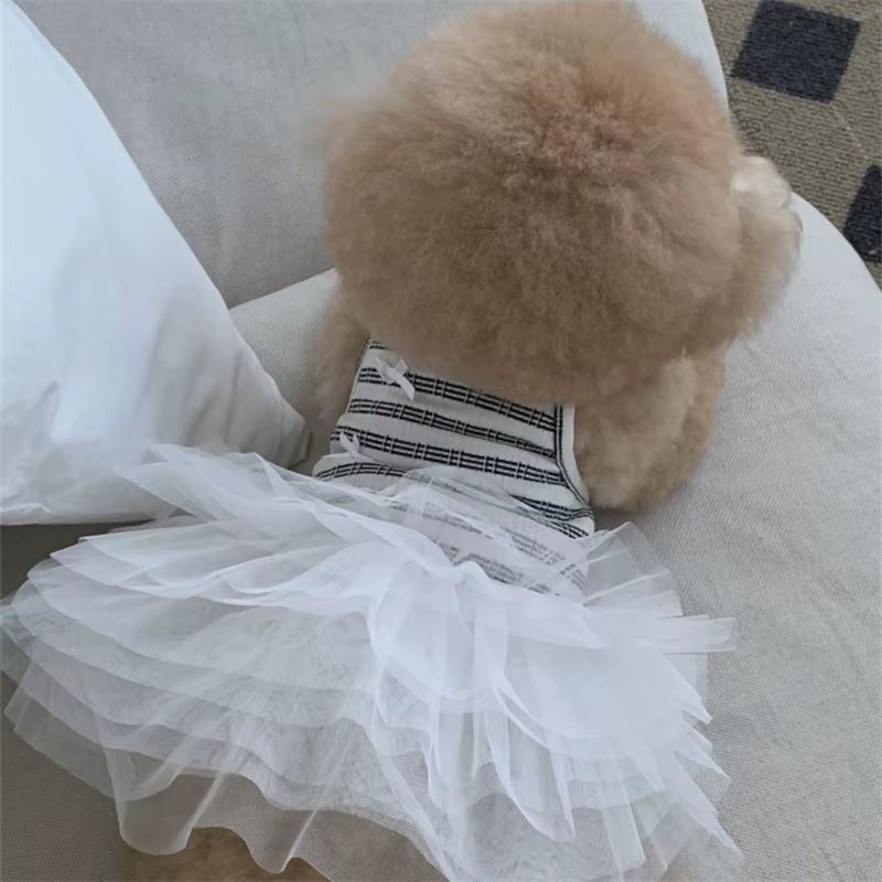Vestido encaje negro princesa rayas para Teddy perros pequeños y gatos - imagen 2