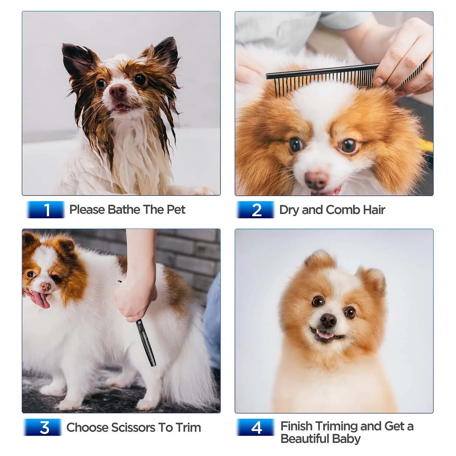 Tijeras de peluquería para mascotas de seguridad, tijeras profesionales de pelo de perro de acero inoxidable con cabeza redonda, tijeras para mascotas, juego portátil de corte de animales - imagen 2