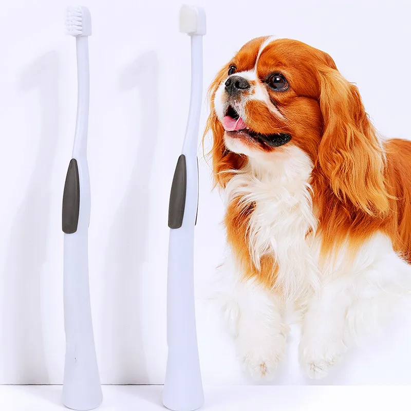 Cepillo de dientes para perros, cuidado bucal para gatos, cepillo de dientes para mascotas, cepillo de cabeza pequeña para limpieza de dientes de perros, cepillos de dientes de pelo suave para perros, suministros para mascotas - imagen 3