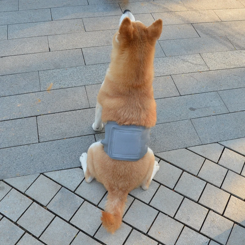 Pañales lavables para perros masculinos, bandas absorbentes reutilizables antifugas para el vientre del perro, envoltura transpirable para mascotas para incontinencia - imagen 4