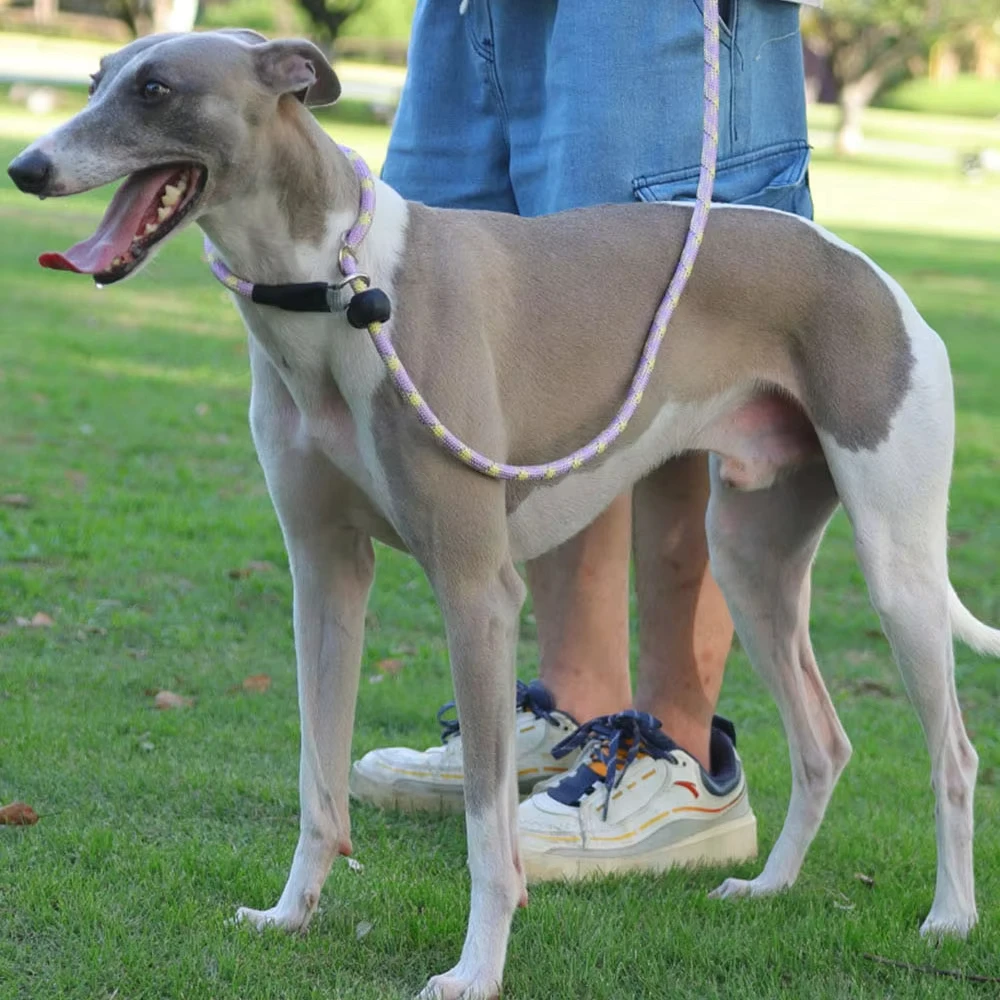 Correas antideslizantes antirotura para galgo, correa Whipbit de plomo deslizante de 150cm, correa ajustable para entrenamiento de mascotas, correa antideslizante de cuerda de nailon fuerte