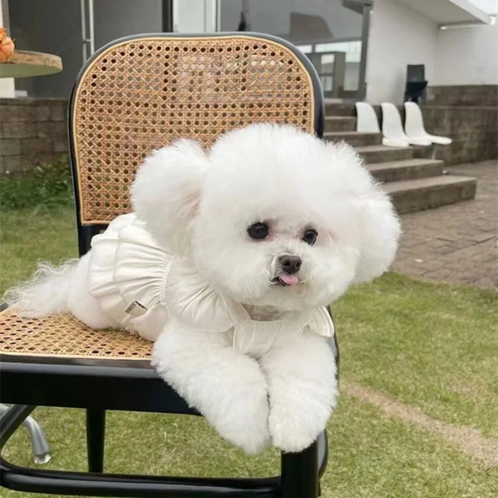 Falda de gasa transpirable ligera que fluye, oso de peluche, perro, gato, salir a remolque, protección solar delgada, ropa para mascotas, primavera, verano, nuevo - imagen 4