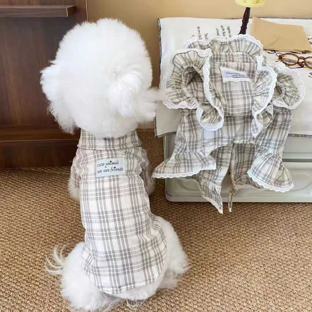 Nueva ropa para perros, falda de encaje, camisa, ropa para caminar al aire libre para perros, camisa de verano, falda para perros de diseño a la moda - imagen 3