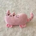 pink cat